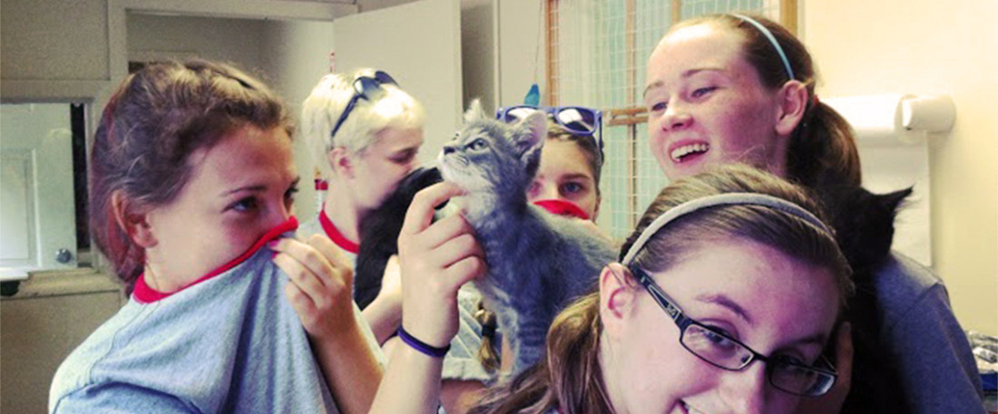 Modern Day St. Francis