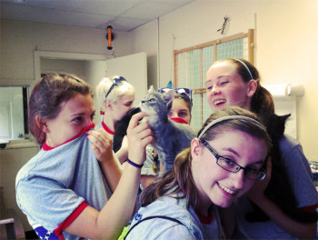 Modern Day St. Francis