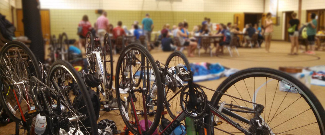 Sweaty Sheep and Bikes