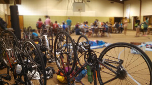 Sweaty Sheep and Bikes