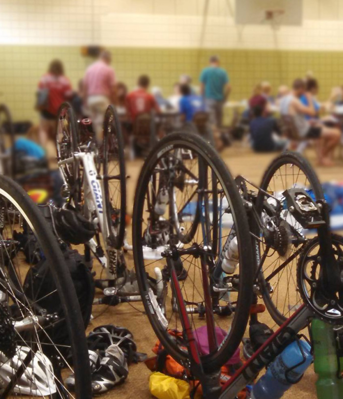 Sweaty Sheep and Bikes
